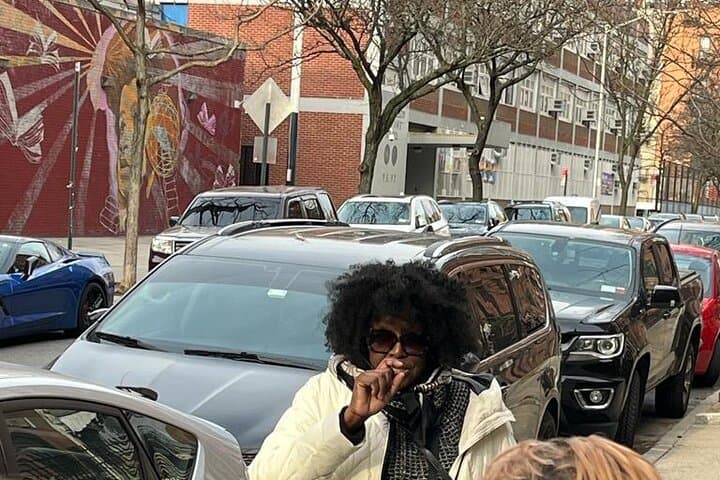 Manhattan Slavery & Underground Railroad Walking Tour — Lower Manhattan History Walk photo 2