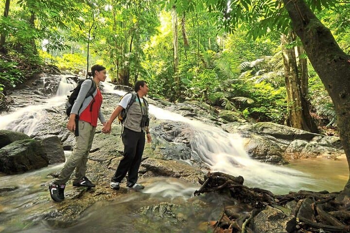 FRIM Forest & Batu Caves Day Tour — Guided Rainforest Walk, Batik & Pewter
