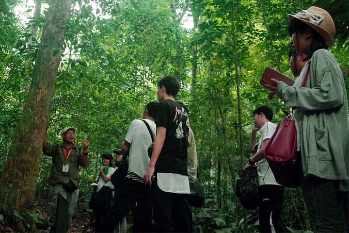 FRIM Forest & Batu Caves Day Tour — Guided Rainforest Walk, Batik & Pewter photo 6