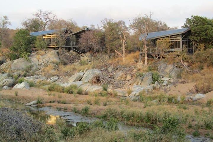 4-Day Greenfire Game Lodge Safari — Balule Private Game Reserve Luxury Wildlife Experience photo 3