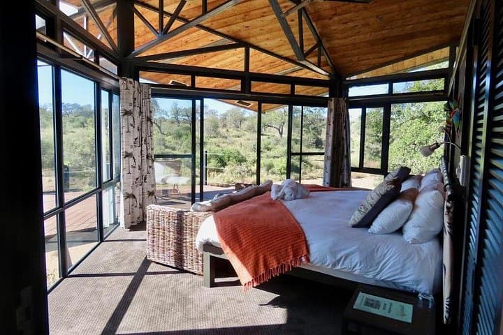 4-Day Greenfire Game Lodge Safari — Balule Private Game Reserve Luxury Wildlife Experience