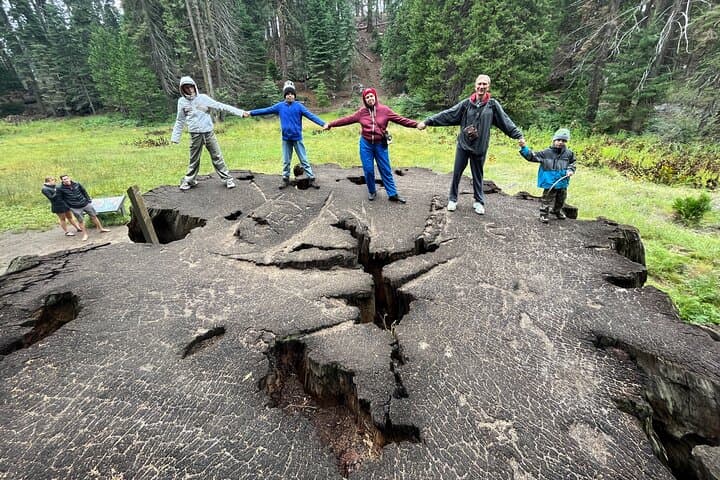 Sunset and Giant Sequoias: Private Day Tour to Sequoia & Kings Canyon from LA photo 4