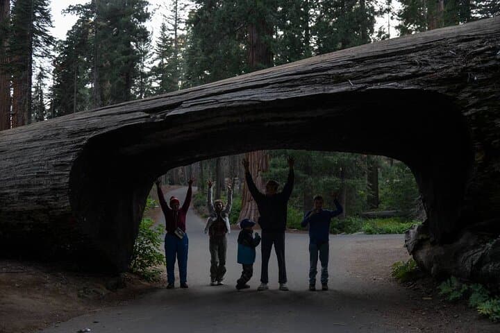 Sunset and Giant Sequoias: Private Day Tour to Sequoia & Kings Canyon from LA photo 6
