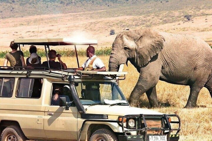 Classic 3-Day Masai Mara Safari: 4WD Game Drives, Camping & Big Five photo 2