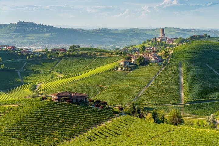 Full-Day Private Piedmont Wine Tour from Torino — Barolo & Barbaresco Tastings