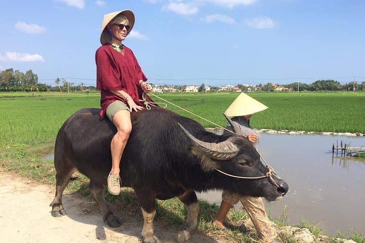 Hoi An Rice Farm Tour: Buffalo Riding, Cycling & Local Home Meal photo 1