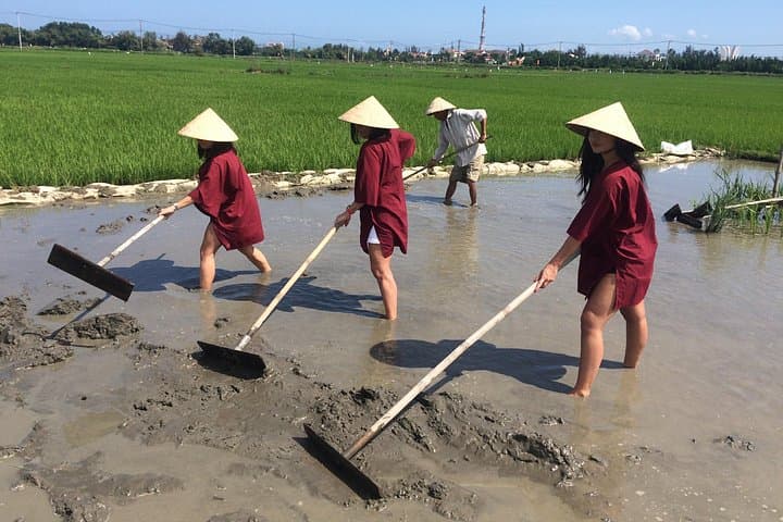 Hoi An Rice Farm Tour: Buffalo Riding, Cycling & Local Home Meal photo 2
