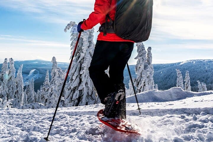 Kuoksa Wilderness Snowshoeing: Private Arctic Hut Adventure from Rovaniemi photo 2