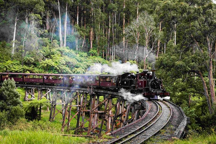Melbourne Day Tour: Brighton Bathing Boxes, Puffing Billy Steam Train & Penguin Parade photo 2