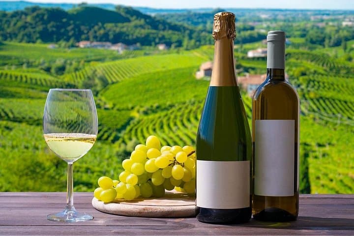 Private Prosecco Wine Tour from Venice: Conegliano & Valdobbiadene Day Trip photo 3
