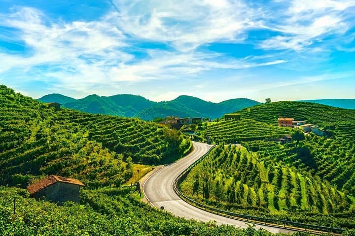 Private Prosecco Wine Tour from Venice: Conegliano & Valdobbiadene Day Trip