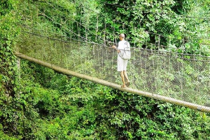 10-Day Ghana Cultural Heritage Tour: Castles, Markets and Rainforest Canopy Walk photo 6