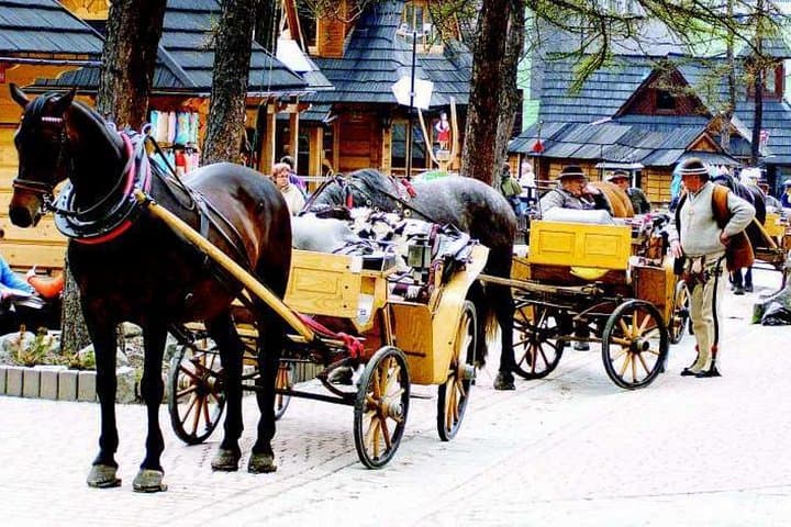 Zakopane Full-Day Tour: Gubalowka Cable Car, Chochołów & Thermal Baths from Krakow photo 2