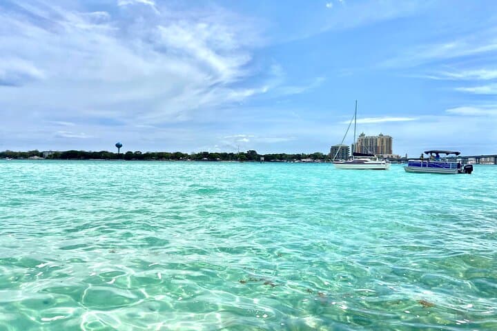 Guided Dolphin Tour in Destin: 2‑Hour Catamaran on the Emerald Coast photo 5