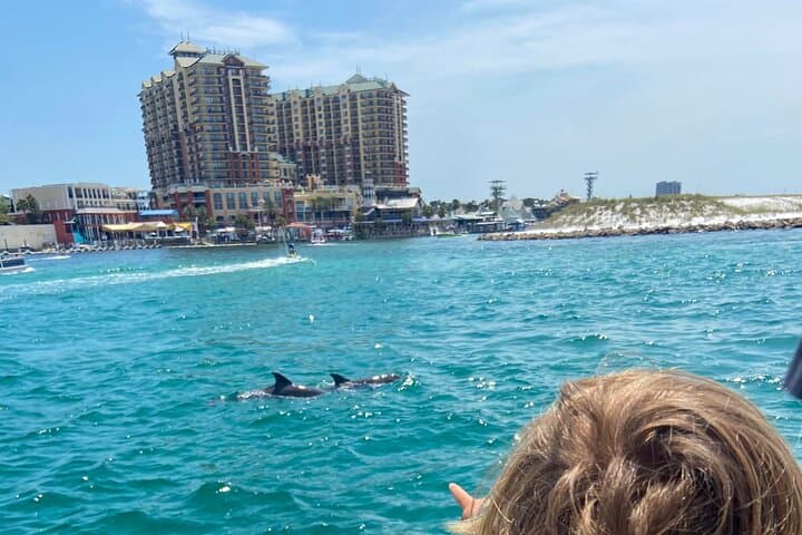 Guided Dolphin Tour in Destin: 2‑Hour Catamaran on the Emerald Coast