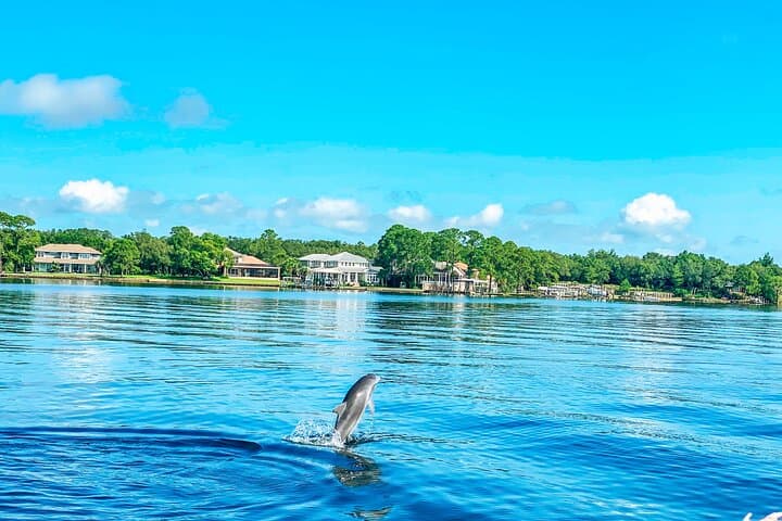 Guided Dolphin Tour in Destin: 2‑Hour Catamaran on the Emerald Coast photo 3