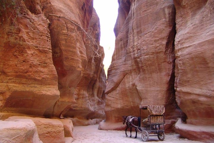 Private Full-Day Petra Tour from the Dead Sea — Explore the Rose City photo 5