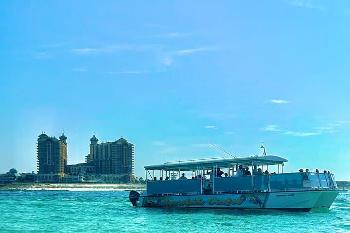 Guided Dolphin Tour in Destin: 2‑Hour Catamaran on the Emerald Coast photo 2