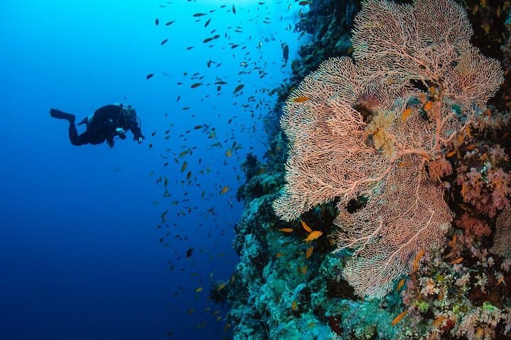 Paradise Island Full-Day Snorkel from Hurghada: Coral Reefs and Beach Time photo 2
