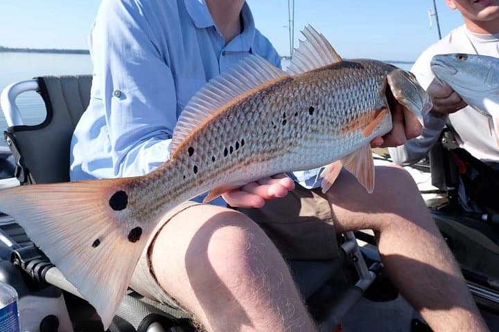 Hooked on the Bayou: New Orleans Kayak Fishing Trip photo 2