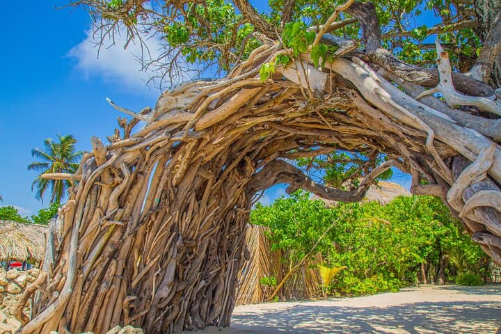 Cartagena Beachfront Disconnection: Full-Day Yoga, Meditation & Massage photo 4