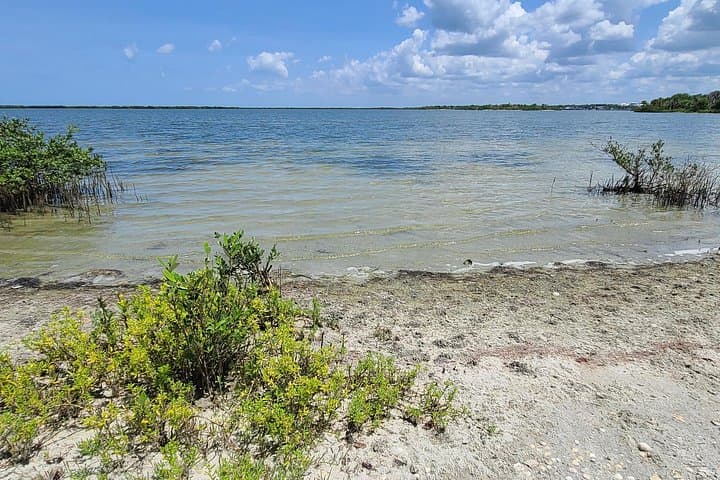 Clear-Bottom Kayak Tour through Mosquito Lagoon and Canaveral National Seashore photo 1