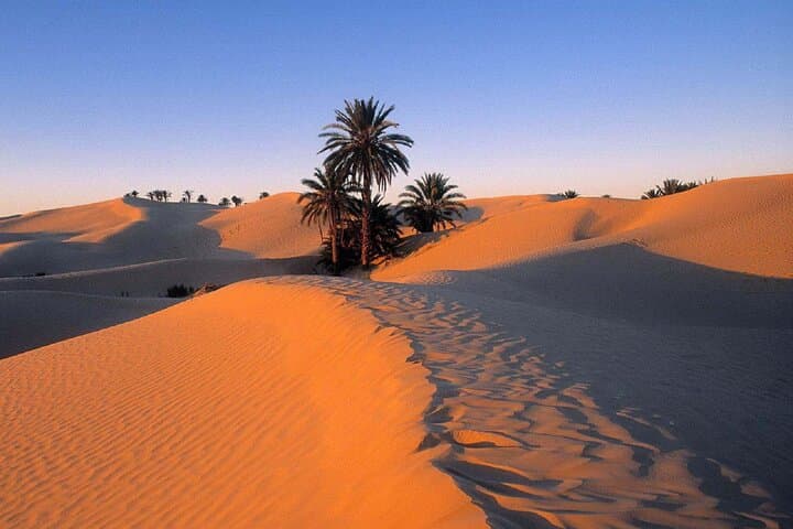 Sunset Desert Quad Biking Safari from Hurghada — 4-Hour Guided Adventure photo 3