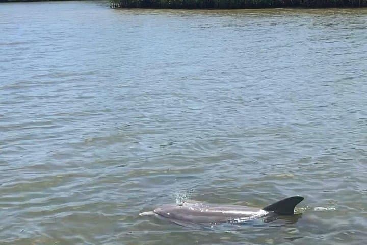 Clear-Bottom Kayak Tour through Mosquito Lagoon and Canaveral National Seashore photo 3