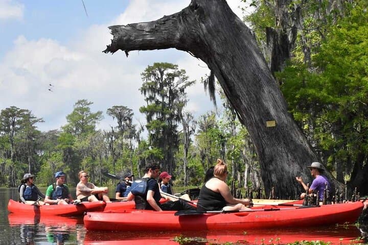 Paddle Deeper: Manchac Swamp Extended 4‑Hour Kayak Adventure