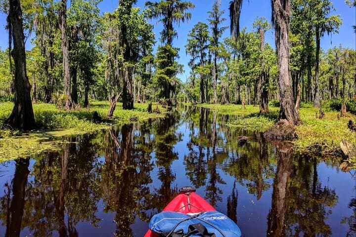 Paddle Deeper: Manchac Swamp Extended 4‑Hour Kayak Adventure photo 2
