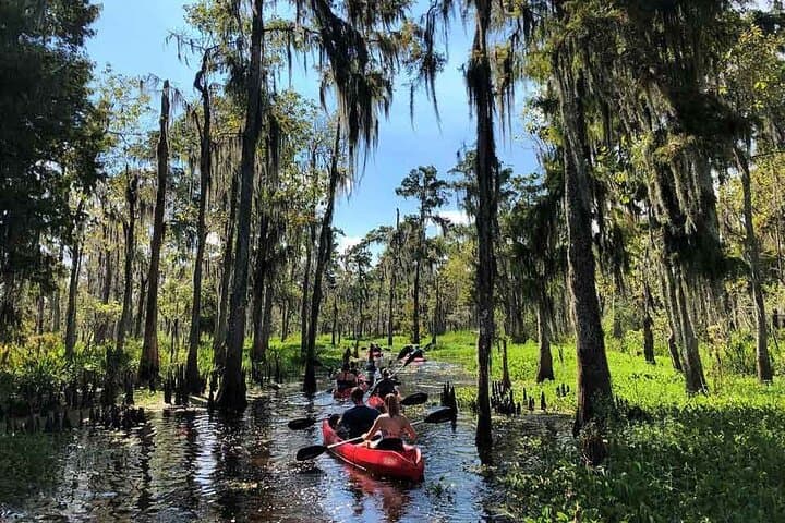 Paddle Deeper: Manchac Swamp Extended 4‑Hour Kayak Adventure photo 3