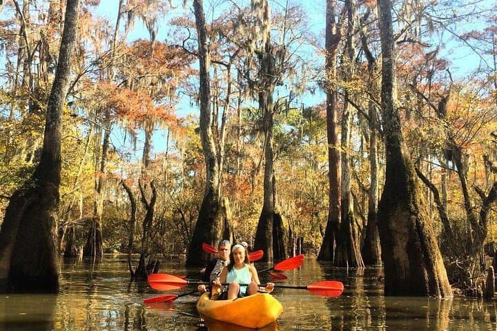 Paddle Deeper: Manchac Swamp Extended 4‑Hour Kayak Adventure photo 4