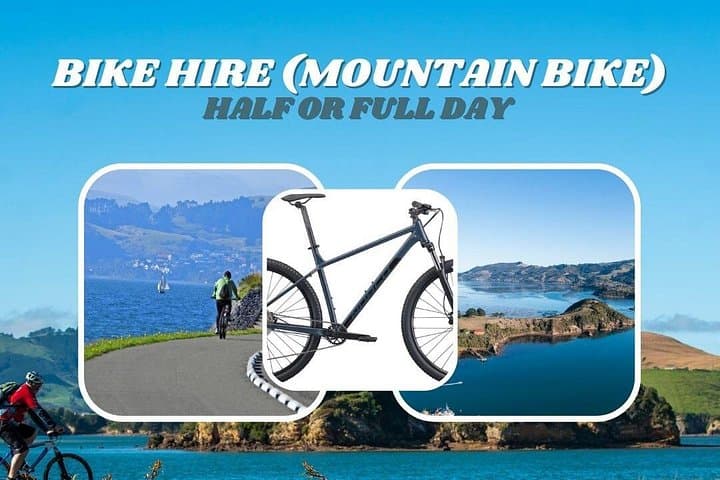 Dunedin Harbour Loop Non-Electric Bike Rental — Self-Serve City & Peninsula Ride photo 1