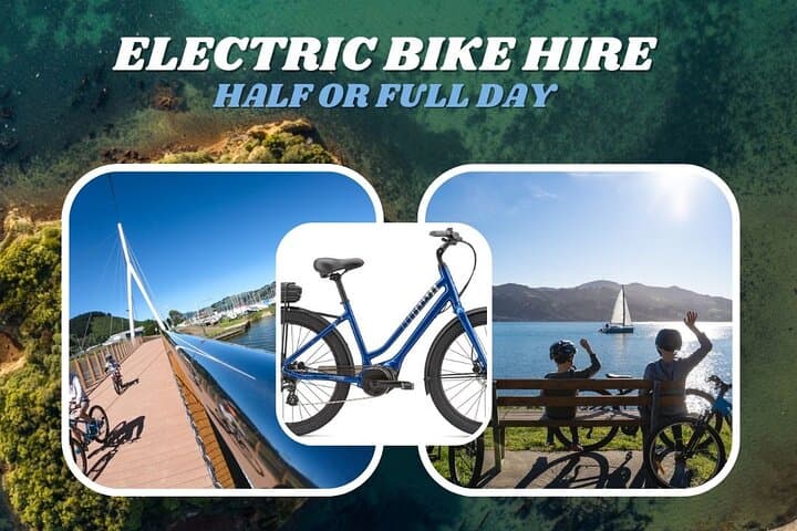 Dunedin Electric Bike Rental & Harbour Cycle Loop Guide