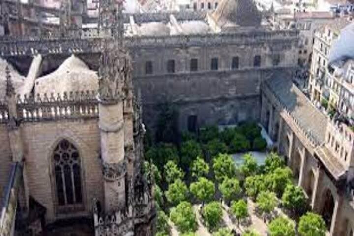Full-Day Seville Walking Tour: Cathedral, Alcázar, Plaza de España & More photo 4