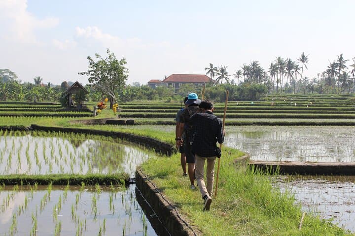 Bali Village Trekking Tour: Ubud Rice Paddy Walk and Waterfall Experience photo 4