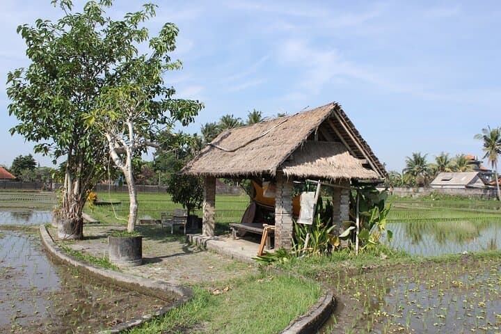 Bali Village Trekking Tour: Ubud Rice Paddy Walk and Waterfall Experience photo 5