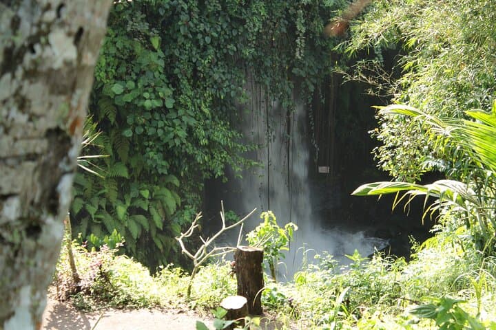 Bali Village Trekking Tour: Ubud Rice Paddy Walk and Waterfall Experience photo 6