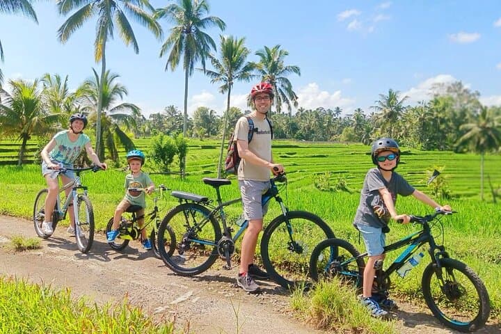 Pedal the Bali Rice Fields: Countryside Bike Ride with Local Guides