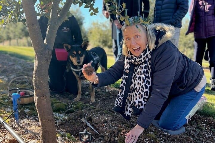 Truffle Hunt and Tasting in Oberon: Farm Forage & Culinary Experience photo 5