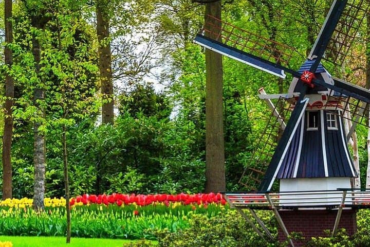 Private Keukenhof & Holland Tulip Fields: VIP Garden Tour from Amsterdam photo 1