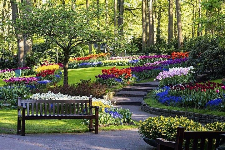 Private Keukenhof & Holland Tulip Fields: VIP Garden Tour from Amsterdam photo 4