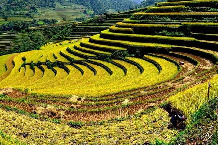 Sapa Day Trek: Terrace Fields & Lao Chai Village Immersion photo 2