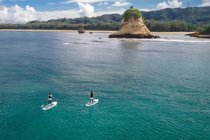 Iriomote Mangrove SUP & Canoe Tour — Paddle the Mangrove Rivers of Iriomote photo 5