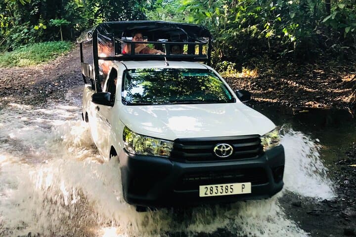 Moorea 4x4 Land-and-Sea Adventure: Magic Mountain, Belvedere Lookout, Pineapples, and Lagoon Swim photo 6