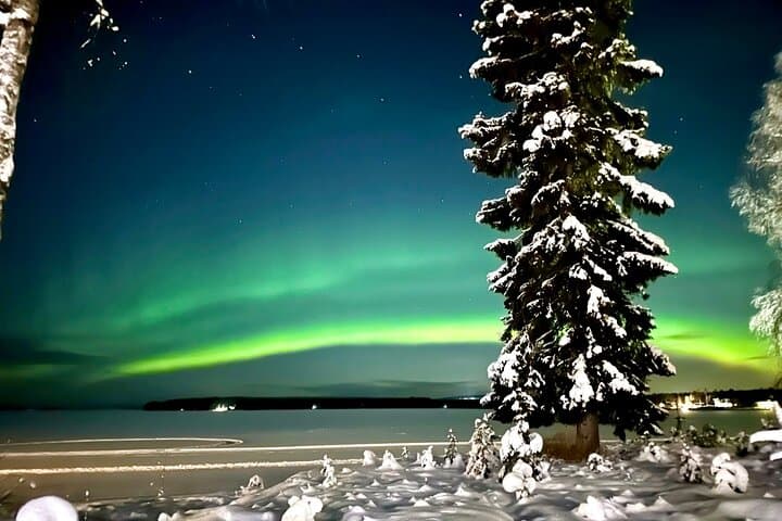 Drive for the Aurora: Snowmobile Northern Lights Tour from Rovaniemi