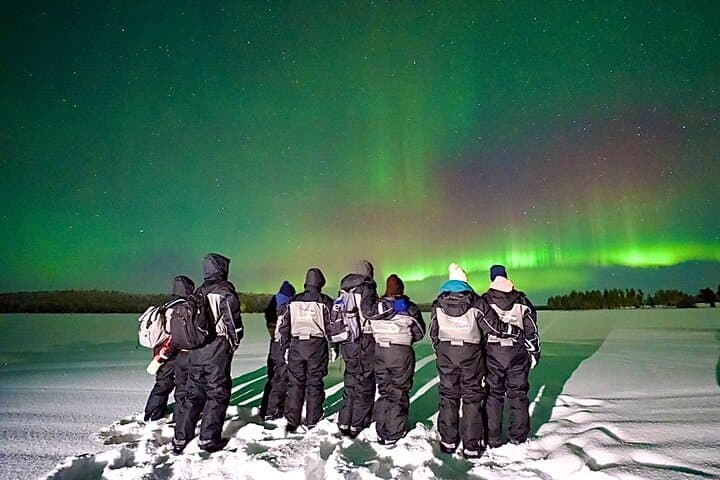 Drive for the Aurora: Snowmobile Northern Lights Tour from Rovaniemi photo 2