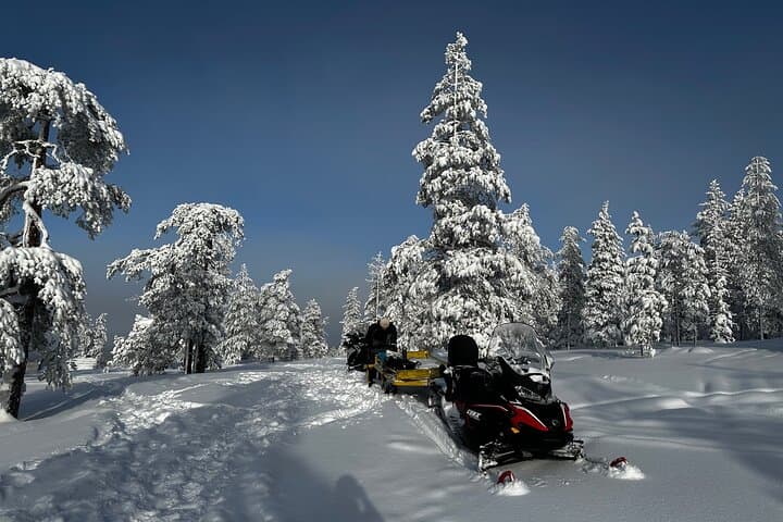 Drive for the Aurora: Snowmobile Northern Lights Tour from Rovaniemi photo 3