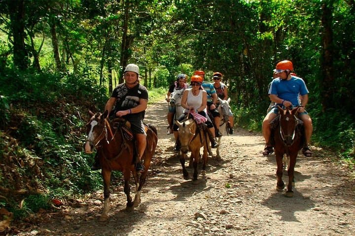 Arenal Volcano Full-Day Private Tour: Hanging Bridges, Jungle Walk & Hot Springs photo 2