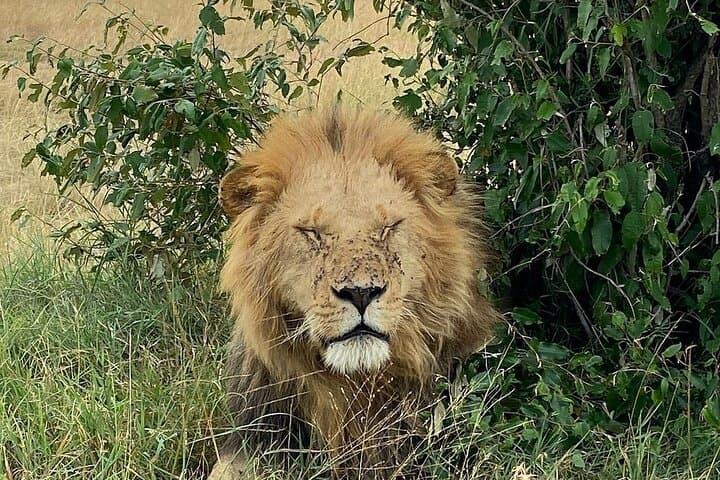 3-Day Tsavo West Safari: Madaraka Jeep Adventure to Mzima Springs & Man-Eaters Country photo 6